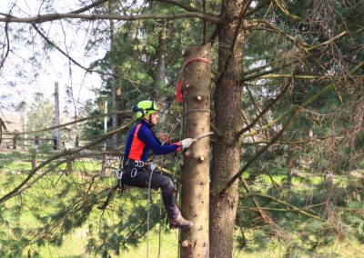 corso-abbattimenti-controllati-tree-climbing1