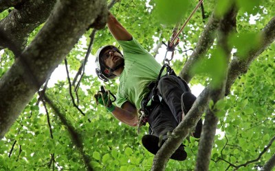 Corso tree climbing – Modulo B