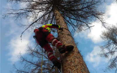 Corso lavori in quota per operatori forestali
